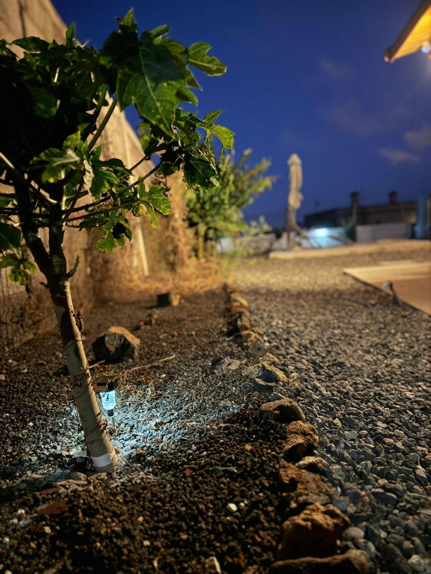 Finca El Atardecer Santa Cruz de Tenerife Zewnętrze zdjęcie